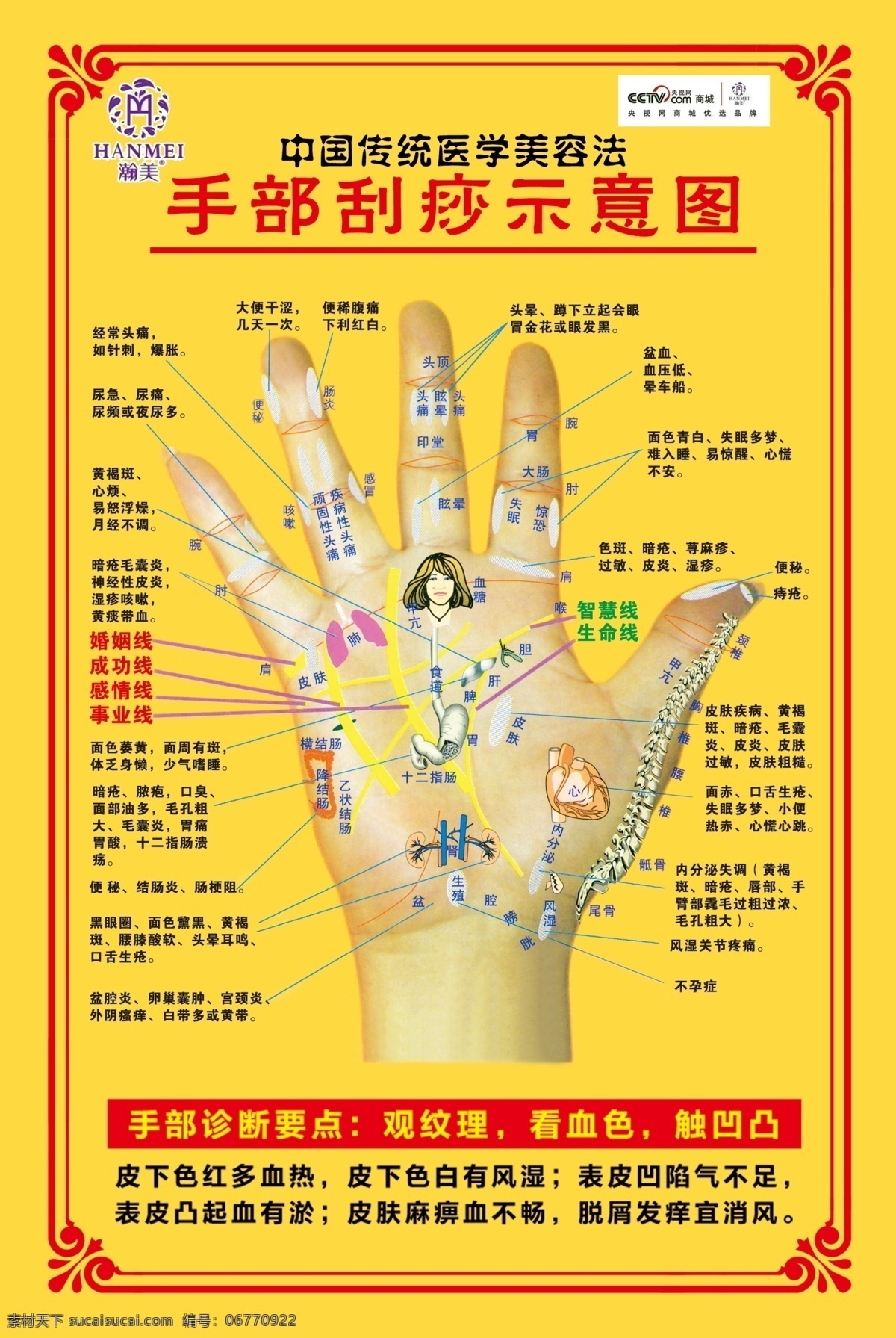 手部 刮痧 示意图 美容 美体 保健 养生 推拿 臀部 经络疏通 医疗 文化艺术