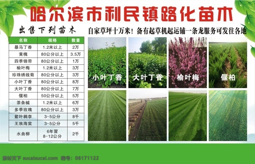 宣传彩页 企业简介 企业宣传 苗木 公司简介 会刊内页 传单 苗木彩页 画册内页 企业产品简介 产品展示 企业宣传图 企业会刊 喷绘布 企业展板 展板