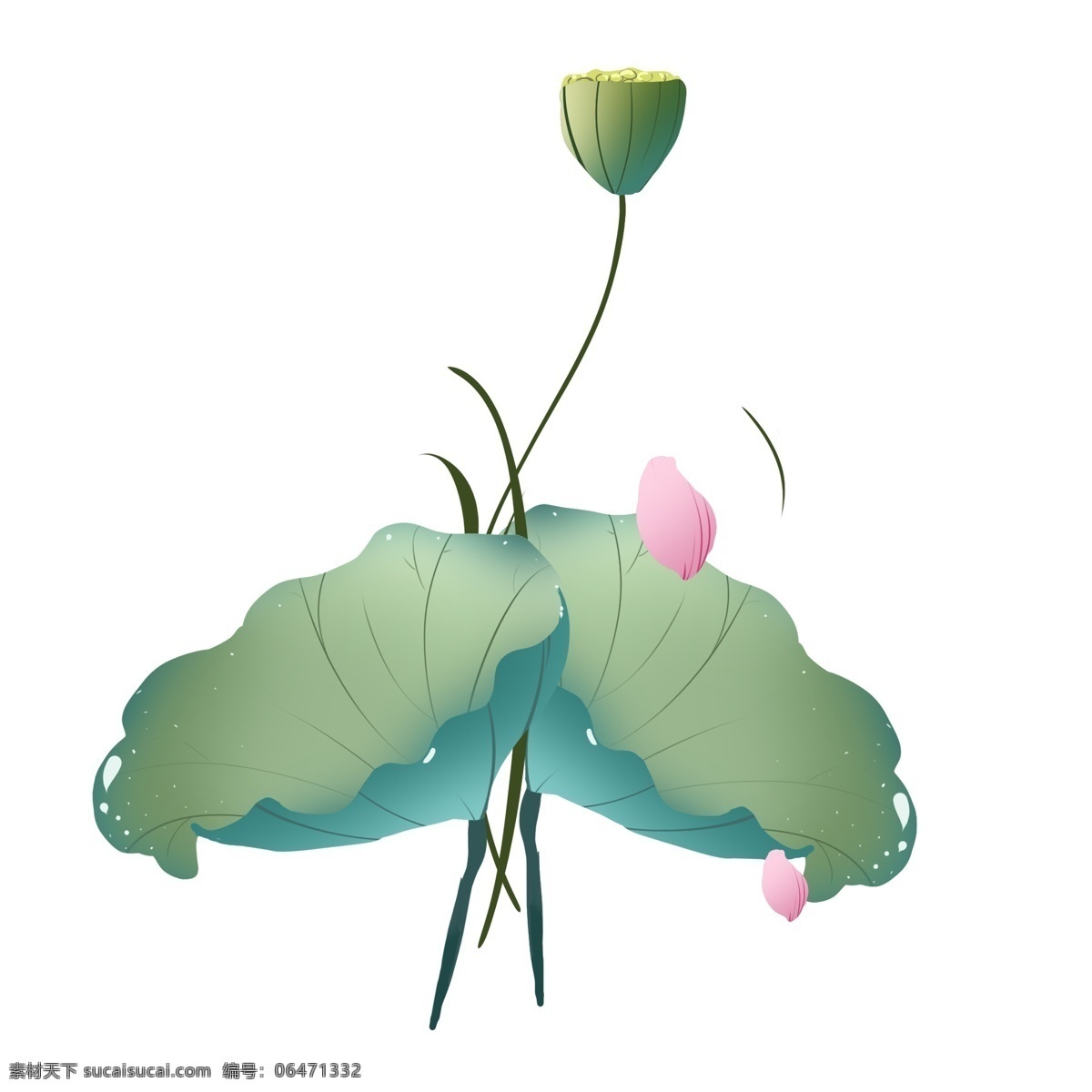 漂亮 绿色 荷花 插画 创意植物插画 荷叶 盛开的花朵 绿色的荷叶 卡通植物插画 唯美的花朵 植物