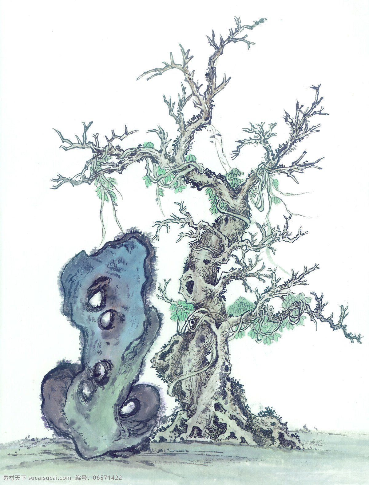 古枝奇石 国画 树 石头 古典 美术 绘画 中国美术图库 绘画书法 文化艺术