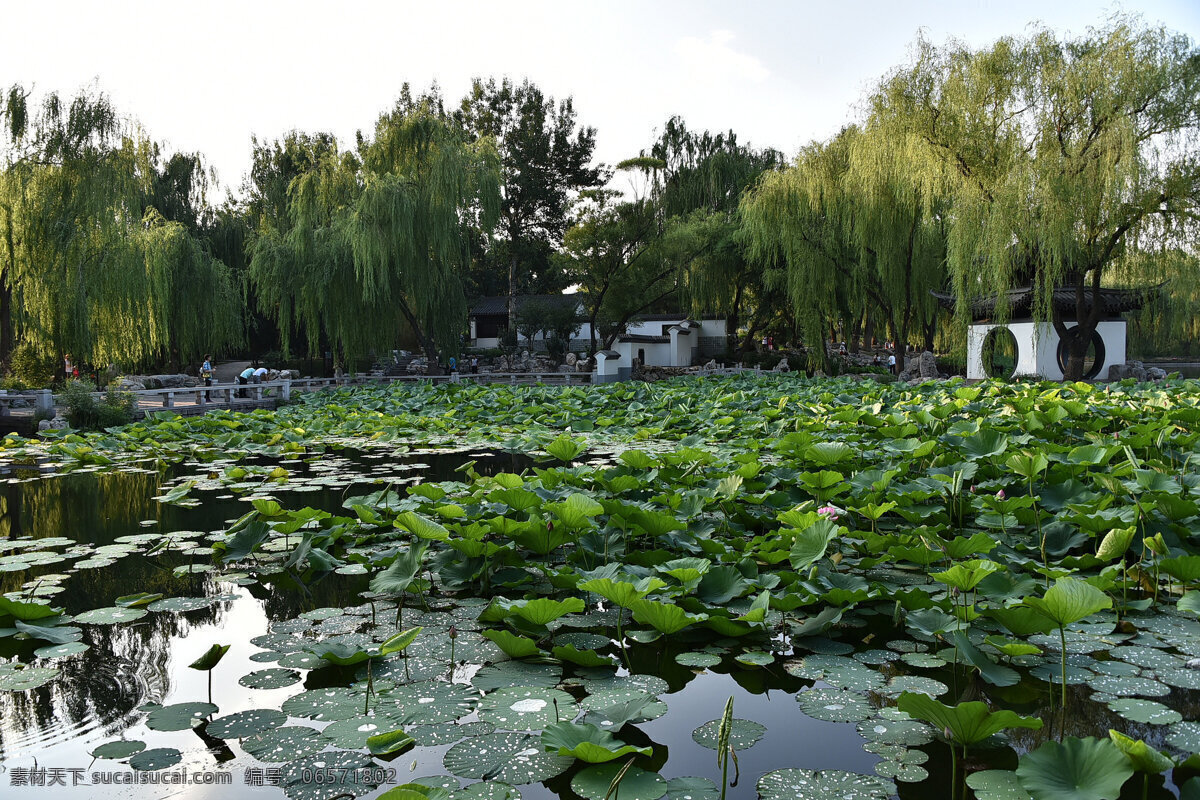 北京 陶然亭 风景