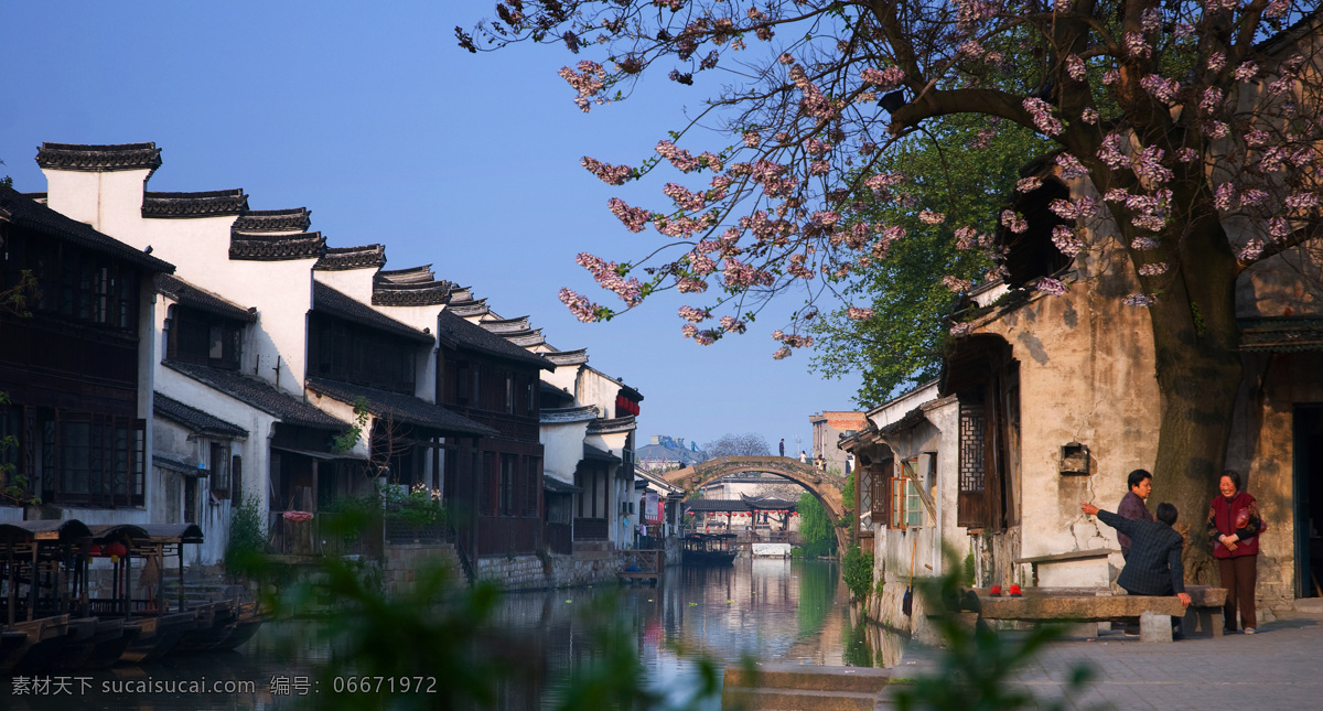 梧桐花开 南浔 古镇 水乡 徽派建筑 旅游摄影 国内旅游