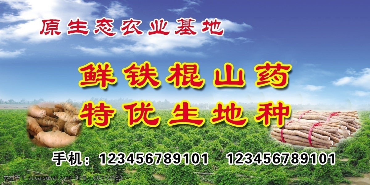 原生态 农业 基地 鲜 铁棍 山药 鲜铁棍山药 地黄 蓝天 白云 山药地 广告设计模板 源文件