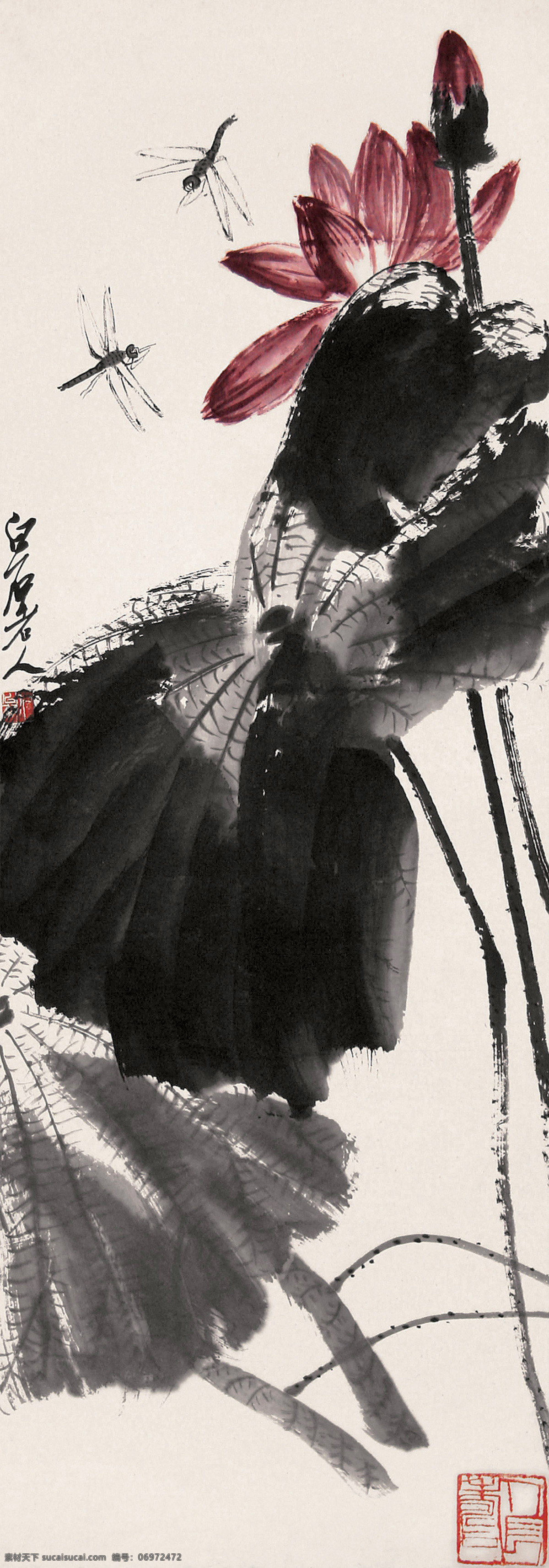 荷花蜻蜓 国画 齐白石 荷花 红荷 荷塘 蜻蜓 绘画书法 文化艺术 花卉 草虫