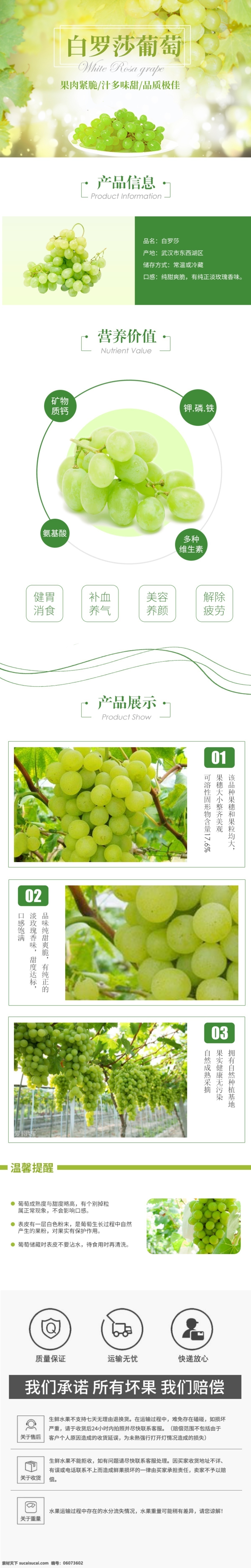 白 罗莎 葡萄 淘宝 详情 页 白罗莎葡萄 水果 葡萄详情页 电商详情页 淘宝详情页 天猫详情页 电商 天猫