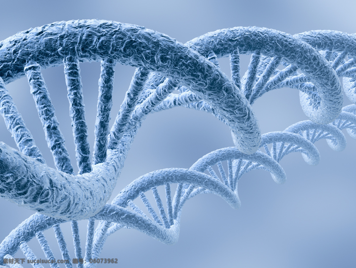 生物学dna 生物 生物学 dna dna图谱 高清图片 医疗护理 现代科技