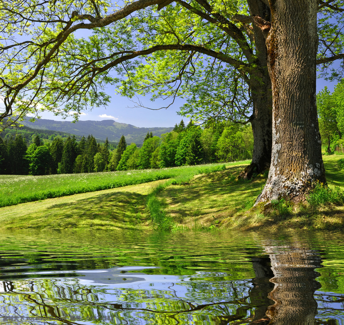 水边 棵 大树 蓝天 白云 草地 高山水 倒影 树 水里 自然风景 山水风景 风景图片