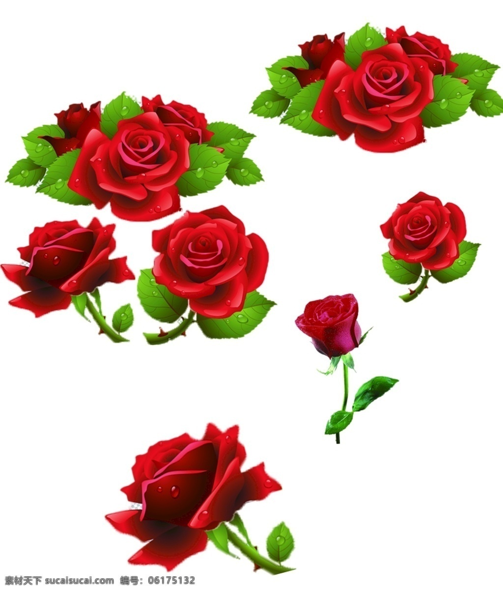 高清玫瑰花 玫瑰花单支 玫瑰花多支 玫瑰花图案 玫瑰花边框 玫瑰花抠图