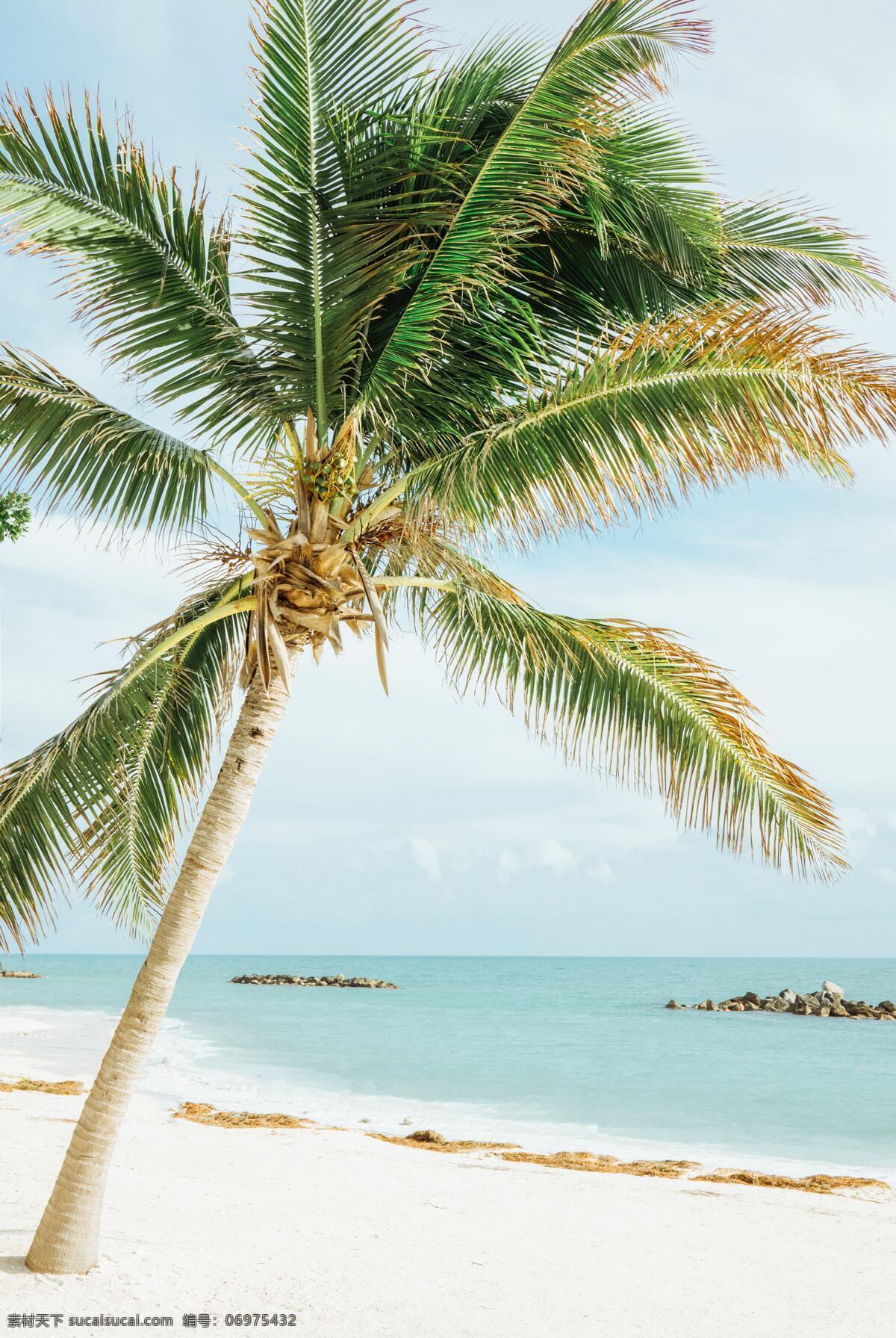 海边椰树 海岸 大海 沙滩 海浪 浪花 椰树 蓝天 白云 旅游摄影 国内旅游