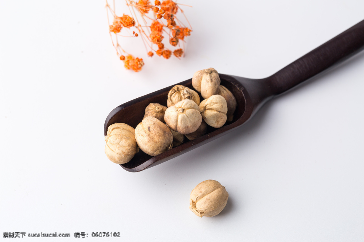 多骨 壳蔻 白蔻 百叩 叩仁 中药 中药材 药材 食物 食材 食物原料 中药白豆蔻 餐饮美食