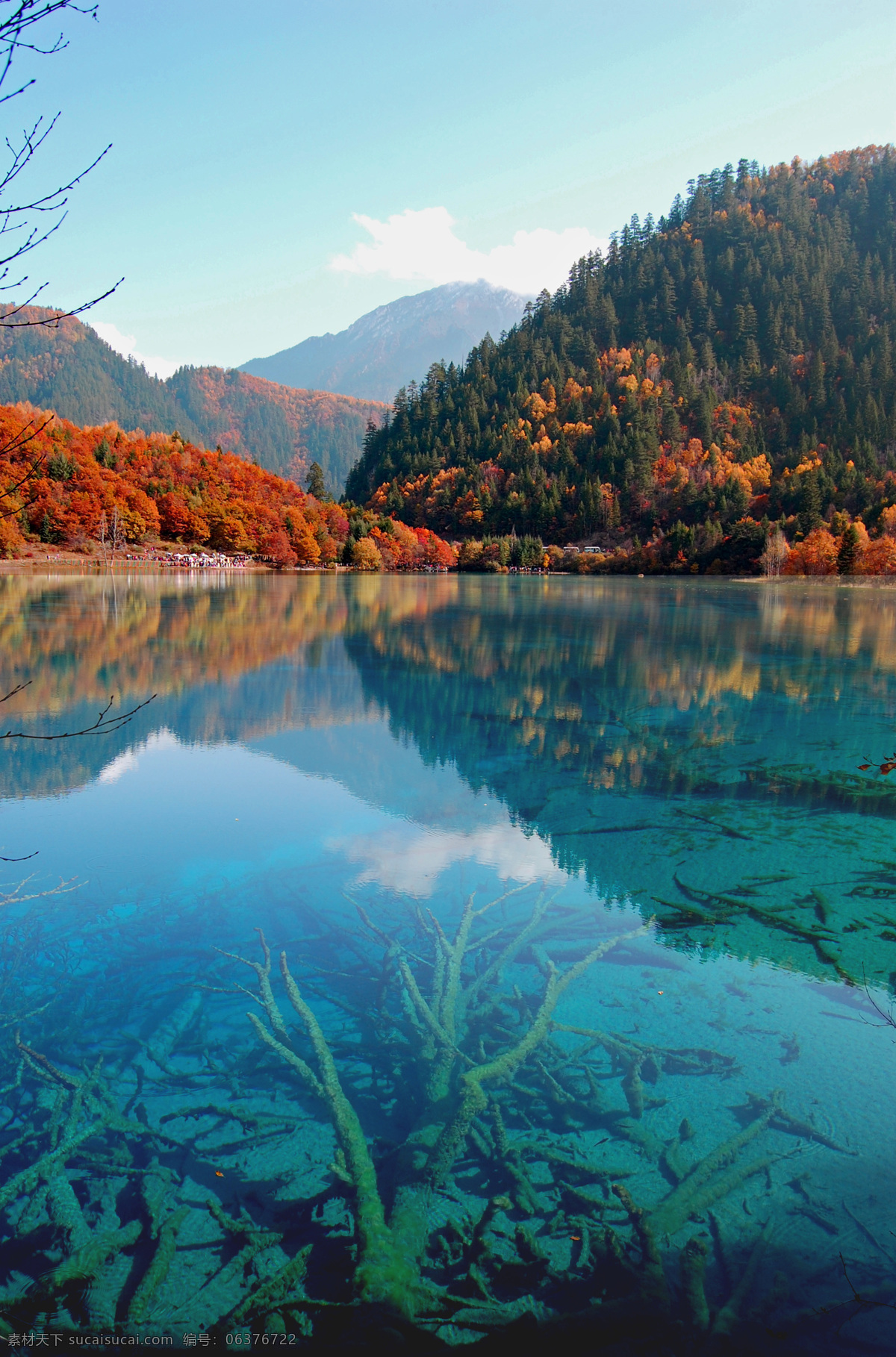 九寨秋韵 九寨沟 秋天 风景 水 红叶 风景名胜 自然景观