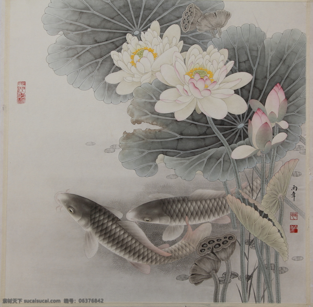 路雨年工笔画 路雨年 绘画 荷花 鱼 鲤鱼 锦鲤 国画 工笔画 荷花鱼艺术 美术 文化艺术 绘画书法