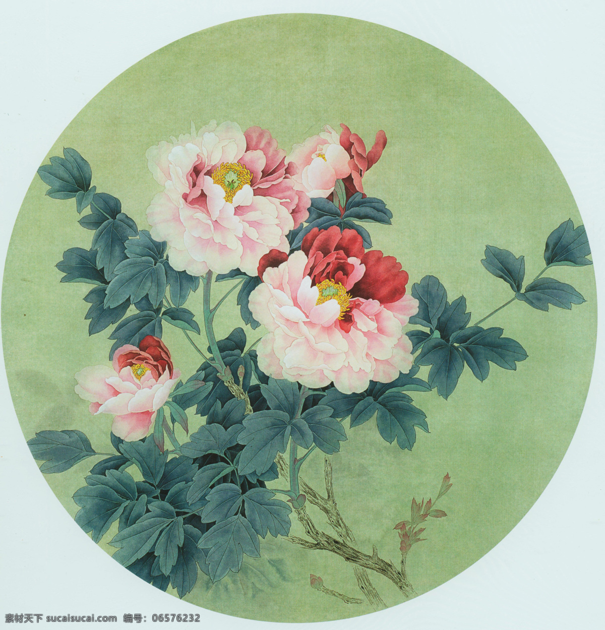 团扇花鸟 花鸟画 工笔牡丹 牡丹 花开富贵 国色天香 花卉素材 扇面 花鸟精品 国画牡丹 文化艺术 绘画书法