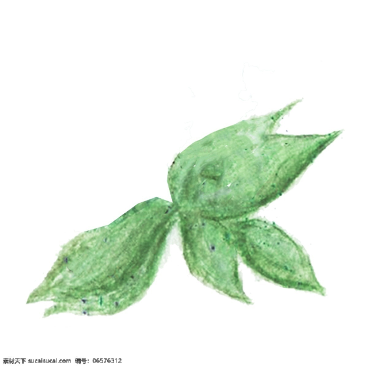 水粉画 片 绿叶 免 抠 图 植物 叶子 小清新 树叶 水粉 一片 免抠图 绿色叶子 海报装饰画 绿色植物