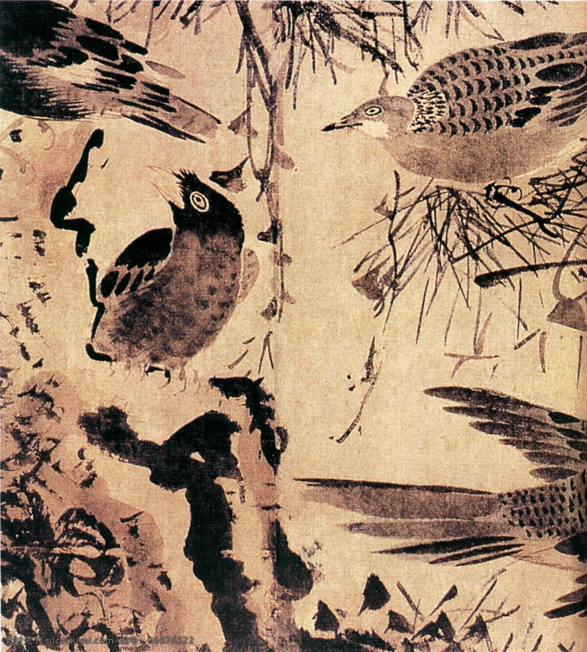 花鸟 艺术 古典 古画 国画 绘画 水墨 中国画 花鸟艺术 中华传世国画 中国画艺 文化艺术
