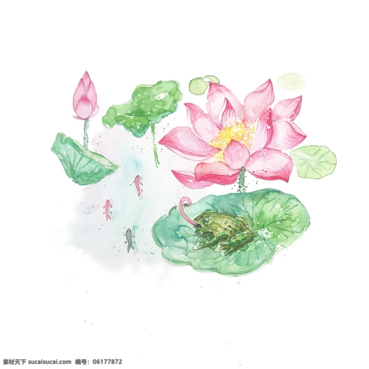 二十四节气 处暑 节气 免 抠 元素 荷花 青蛙 荷叶 小鱼 小清新 水彩