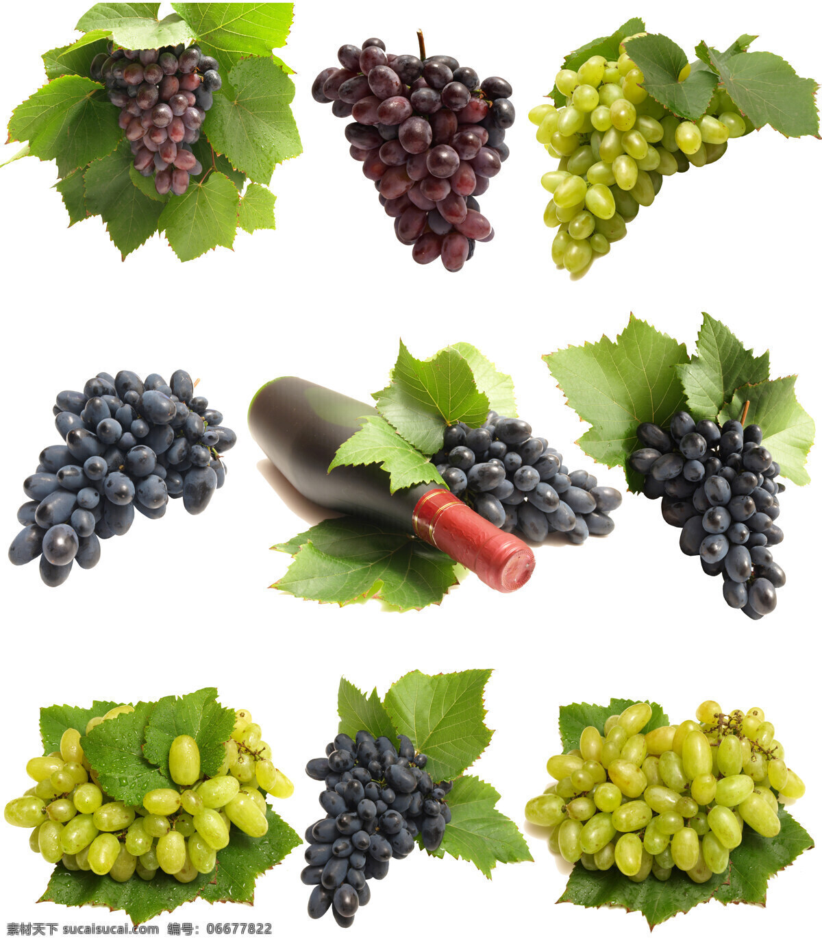 新鲜 葡萄 葡萄酒 葡萄与叶子 水果 新鲜水果 新鲜葡萄 紫葡萄 青葡萄 一串 葡萄叶 绿叶 叶子 酒瓶 一瓶葡萄酒 高清图片 蔬菜图片 餐饮美食