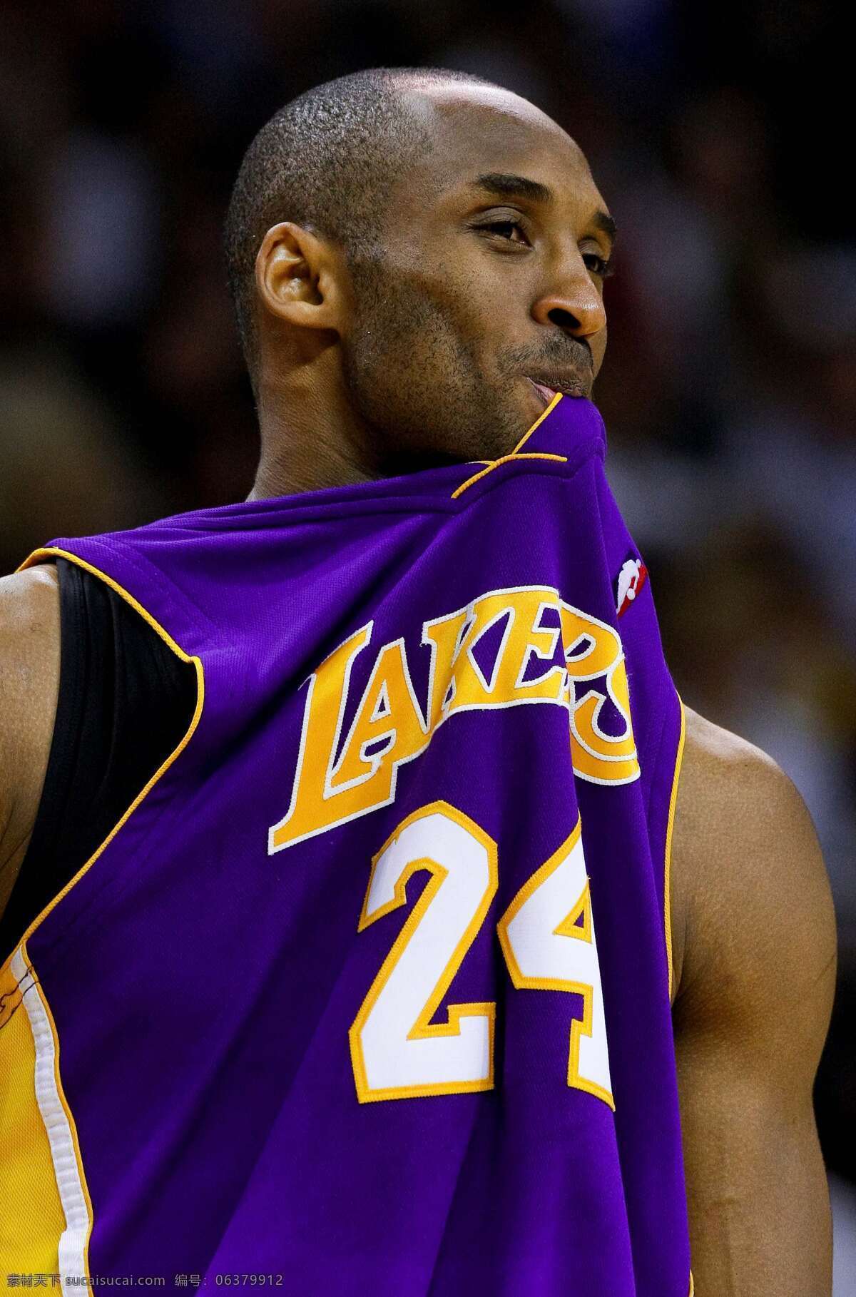 科比 湖人 24号 客场 咬球衣 nba kobe bryant lakers 24kobe cn 人物图库 明星偶像 摄影图库