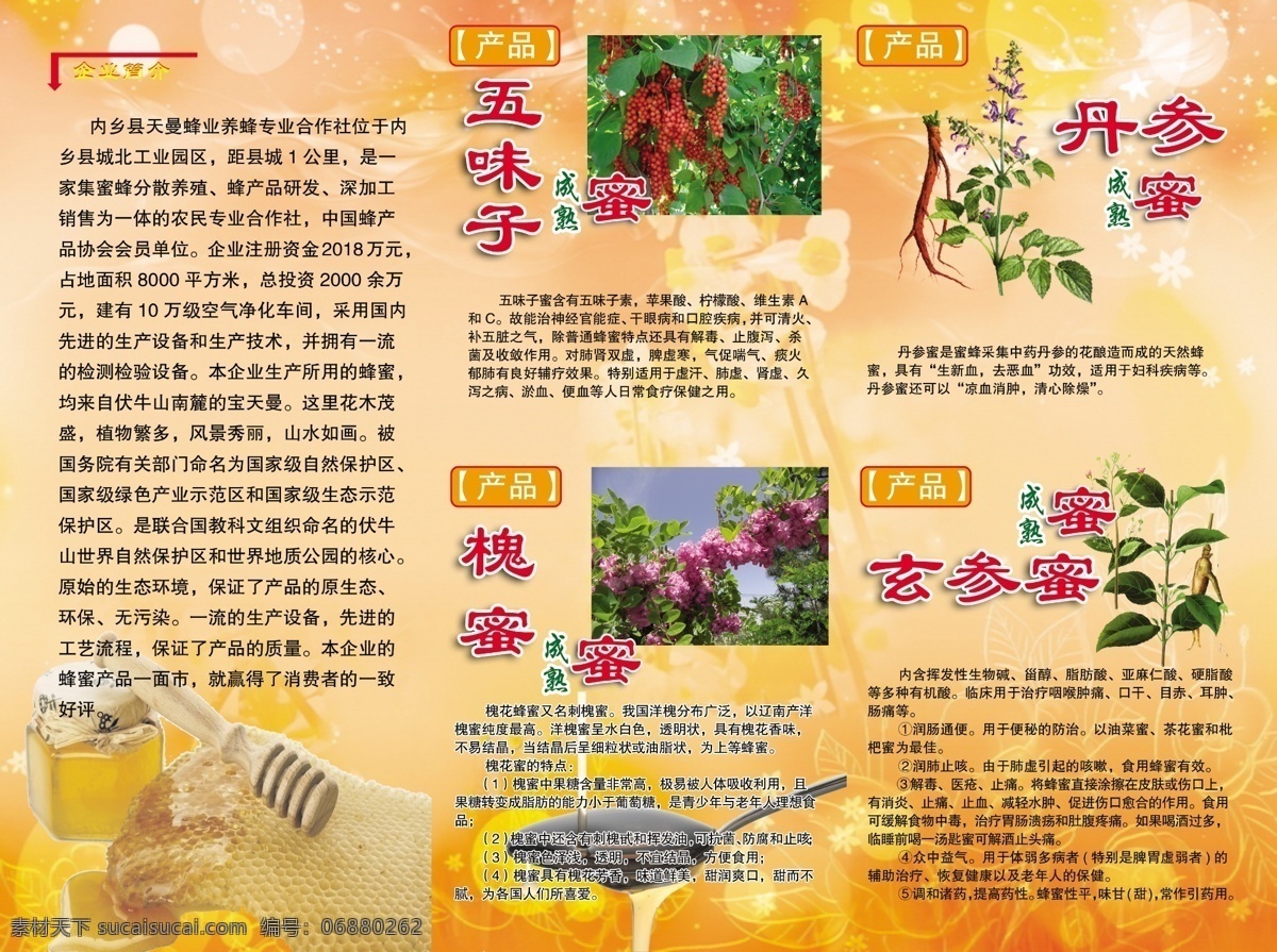 蜂蜜 广告设计模板 画册设计 蜜蜂采蜜 源文件 天曼蜂业 三 折页 反 模板下载 三折页反 五味子成熟蜜 槐花成熟蜜 丹参成熟蜜 野蜂蜜 蜂蜜文化 蜂蜜的功效 psd源文件