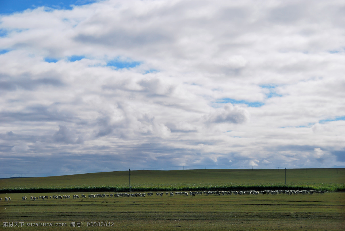 呼伦贝尔 呼伦贝尔草原 大草原 中俄边境 草原 自然风景 自然景观 灰色