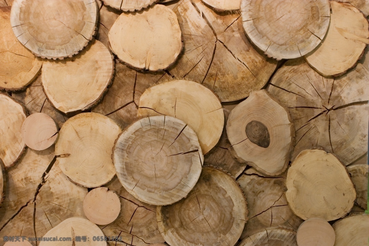 原材料木头 木 木头 木材 圆木 伐木 森林 植物 环境 保护环境 砍柴 纹理 树干 树杆 松木 木桩 农业 农场 林业 年轮 木头年轮 伐木工 多媒体 自然风光