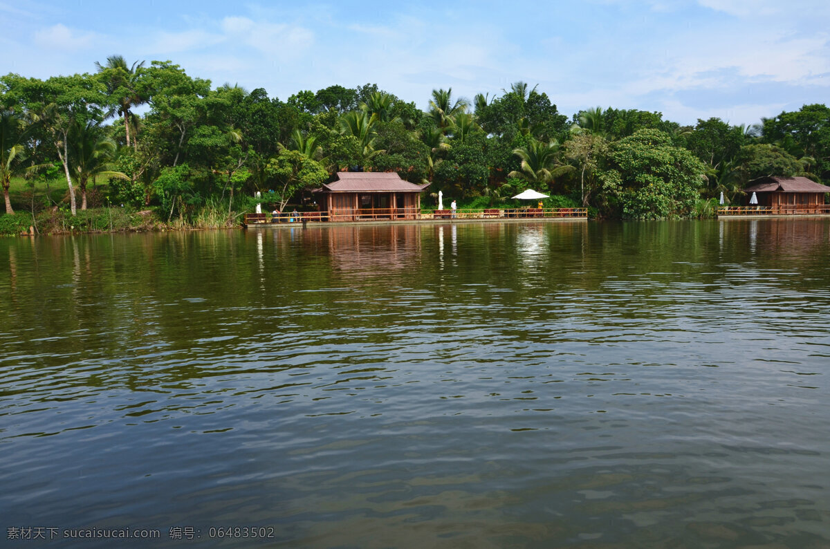 木屋 森林木屋 森林里的房子 钓鱼平台 湖 湖水 椰子树 树林 森林 湖边景观 旅游摄影 国内旅游