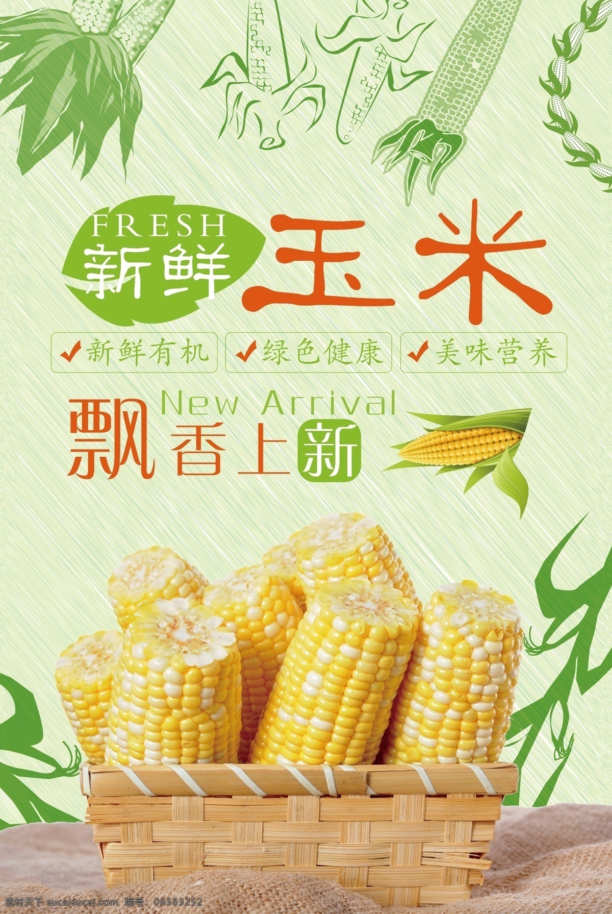玉米宣传海报 新鲜 玉米 宣传 海报 新鲜玉米