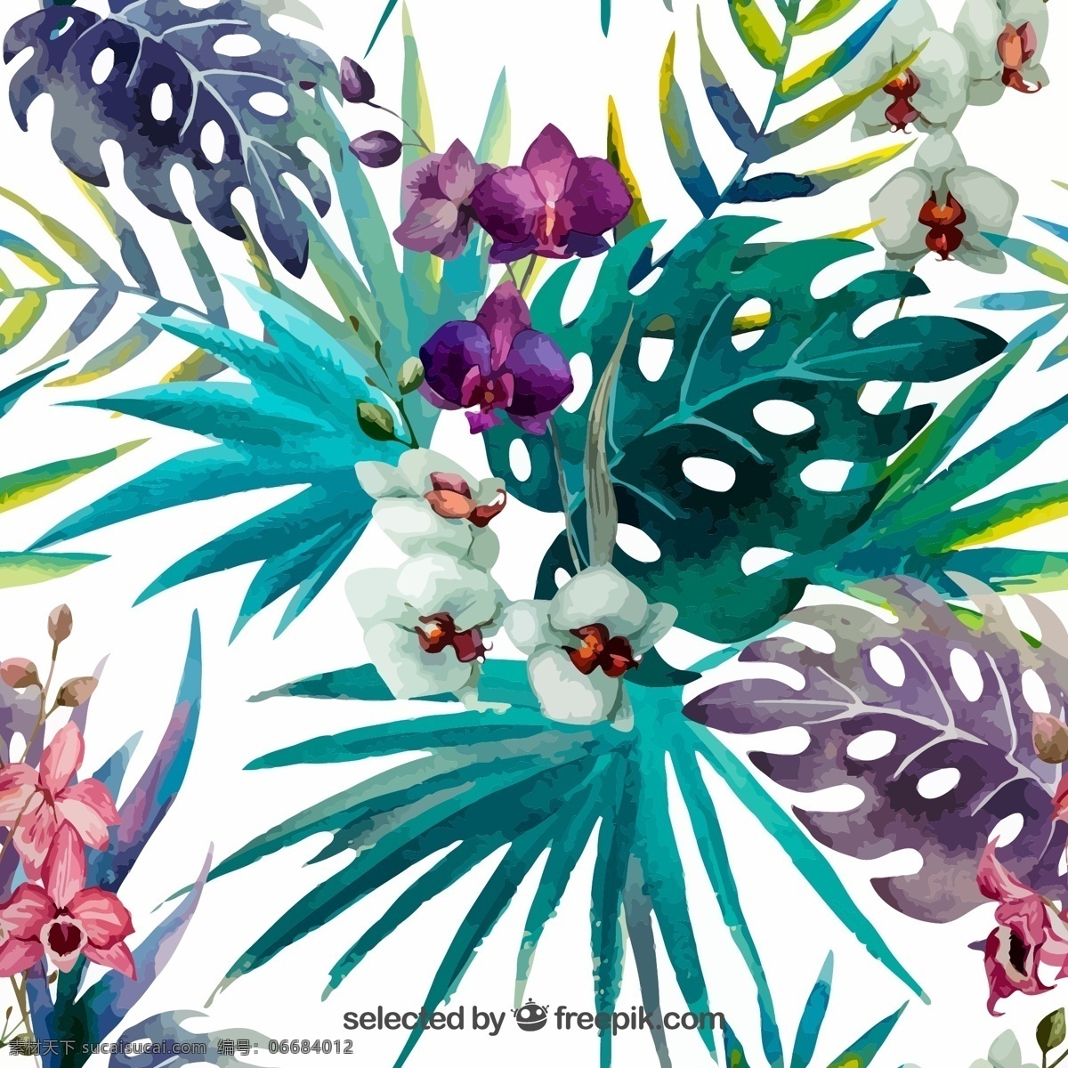 水彩 绘 蝴蝶兰 矢量 矢 量素材下载 富 贵竹 水彩画 兰花 无缝背景 矢量图 ai格式 白色