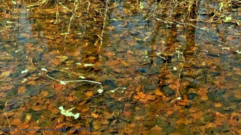 视频背景 实拍视频 视频 视频素材 视频模版 清澈 水面 清澈水面 水面湖底