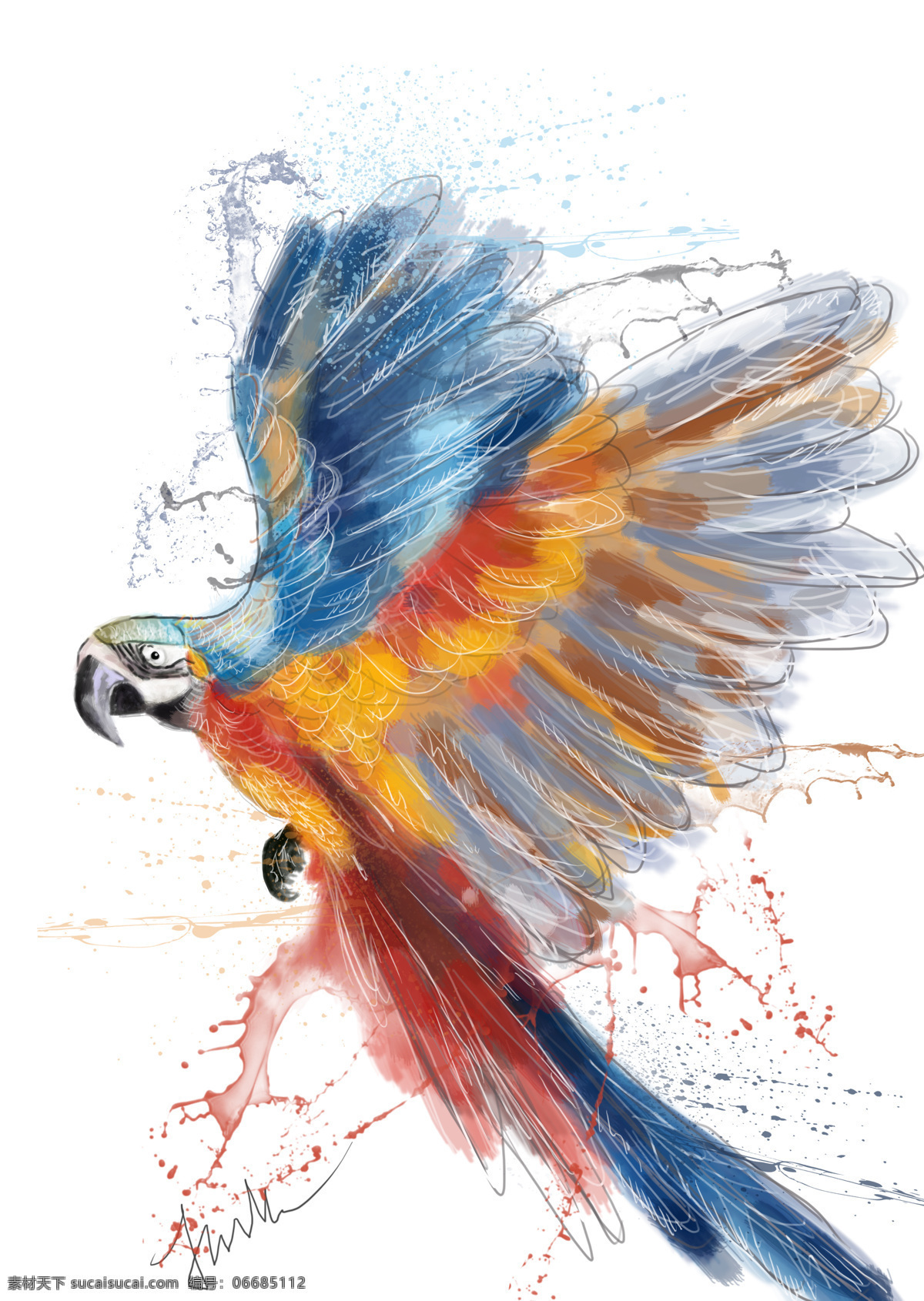 彩色鹦鹉 鹦鹉 手绘 多彩鹦鹉 电脑手绘