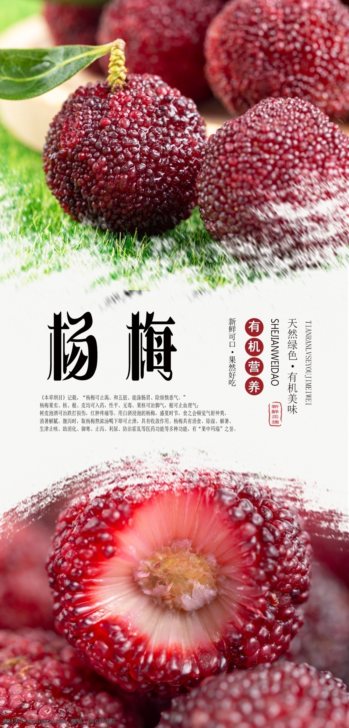 杨梅 分层 海报 水果 新鲜 绿色 有机 采摘 无公害 健康 好吃