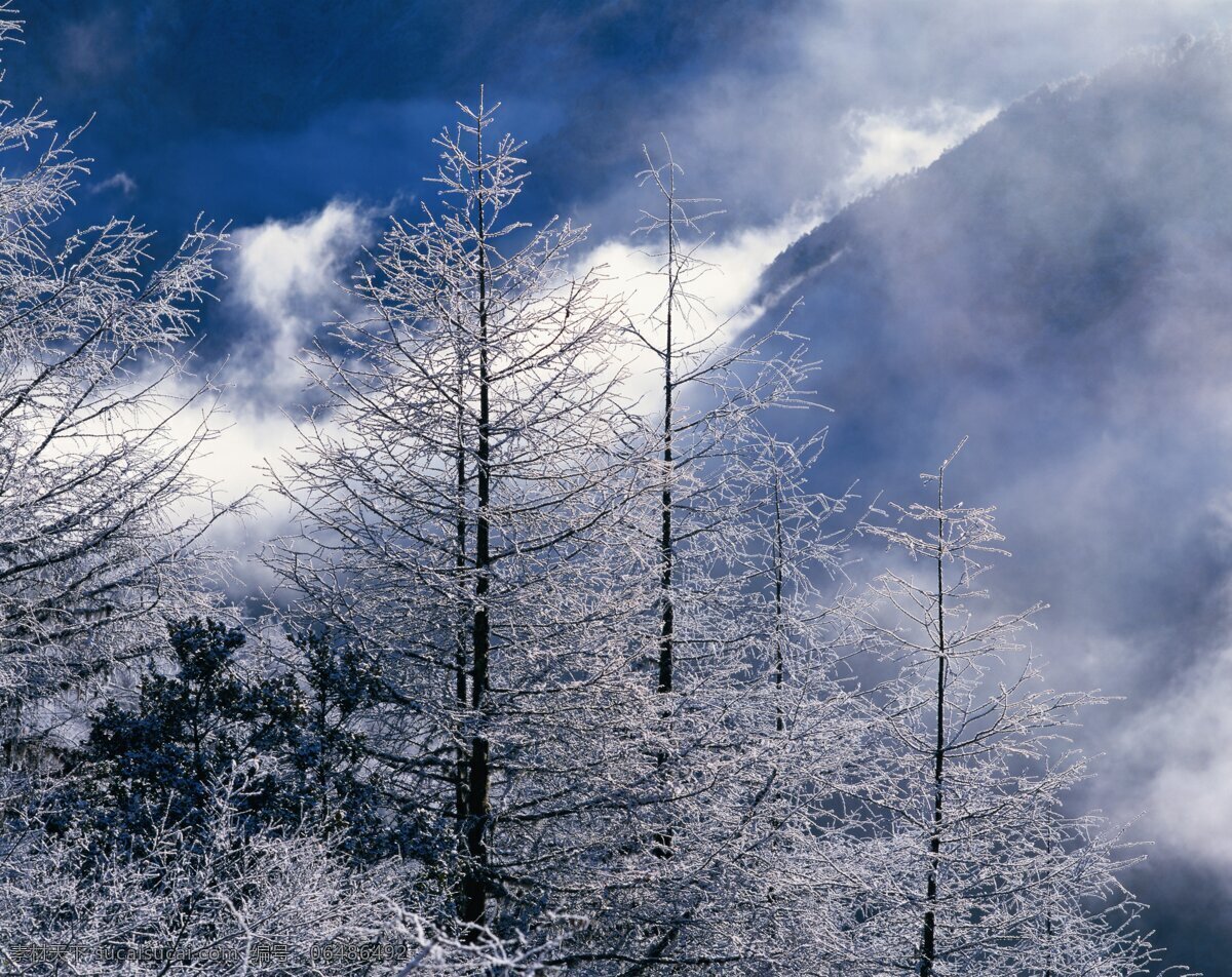 雪景 下雪 冬天 雪花 市 城市 街道 老街 建筑 电脑壁纸 黄昏 风景 舞台 路灯 灯光 背景 底色 卡通背景 儿童背景 蓝天 白云 草地 海边 海浪 沙滩 马路 乡间小路 道路 中国风 月光 中国风背景 高山 自然风景 花朵 湖泊 手机壁纸 冰块 寒冰 冰霜 雪山 雪地 花海 室内 壁纸 冰 jpg图片 自然景观 山水风景