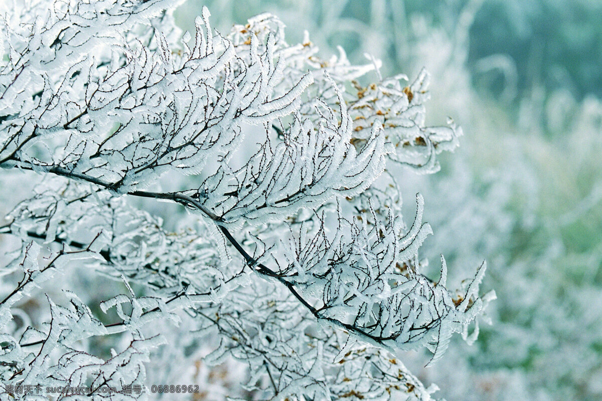 冬天 雪景 背景 冬天雪景 风光 风景 季节 摄影图库 自然 自然风景 自然景观 生活 旅游餐饮