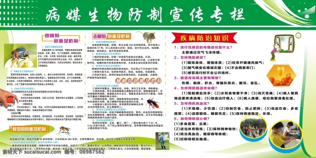 病 媒 生物 控制 专栏 创建 全国 文明 城市 开展 一让 二守 十不 行动 病媒 展板模板