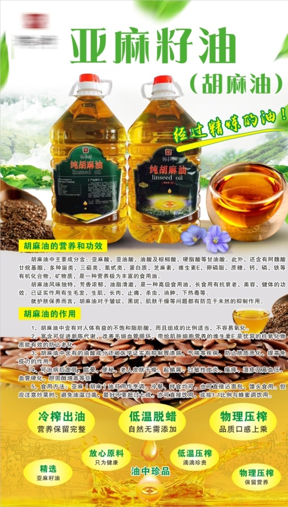 亚麻籽油 胡麻油 营养和功效 胡麻油的作用 绿叶 原创作品