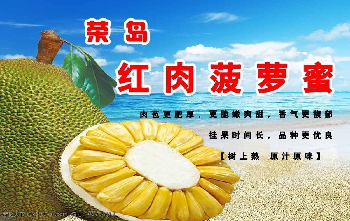 红肉菠萝蜜 菠萝蜜 水果 水果展板 宣传栏 展板 展板模板