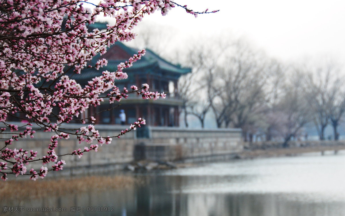 唯美 风景 风光 旅行 北京 颐和园 公园 梅花 湖 古建筑 旅游摄影 国内旅游