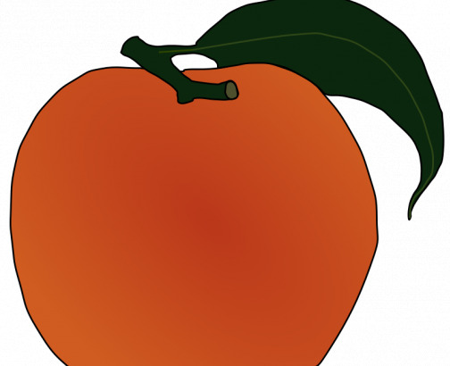 桃 矢量 图像 橙 果汁 夹 剪贴画 美味 色彩 食品 水果 桃子 艺术 svg 产生 颜色 日常生活