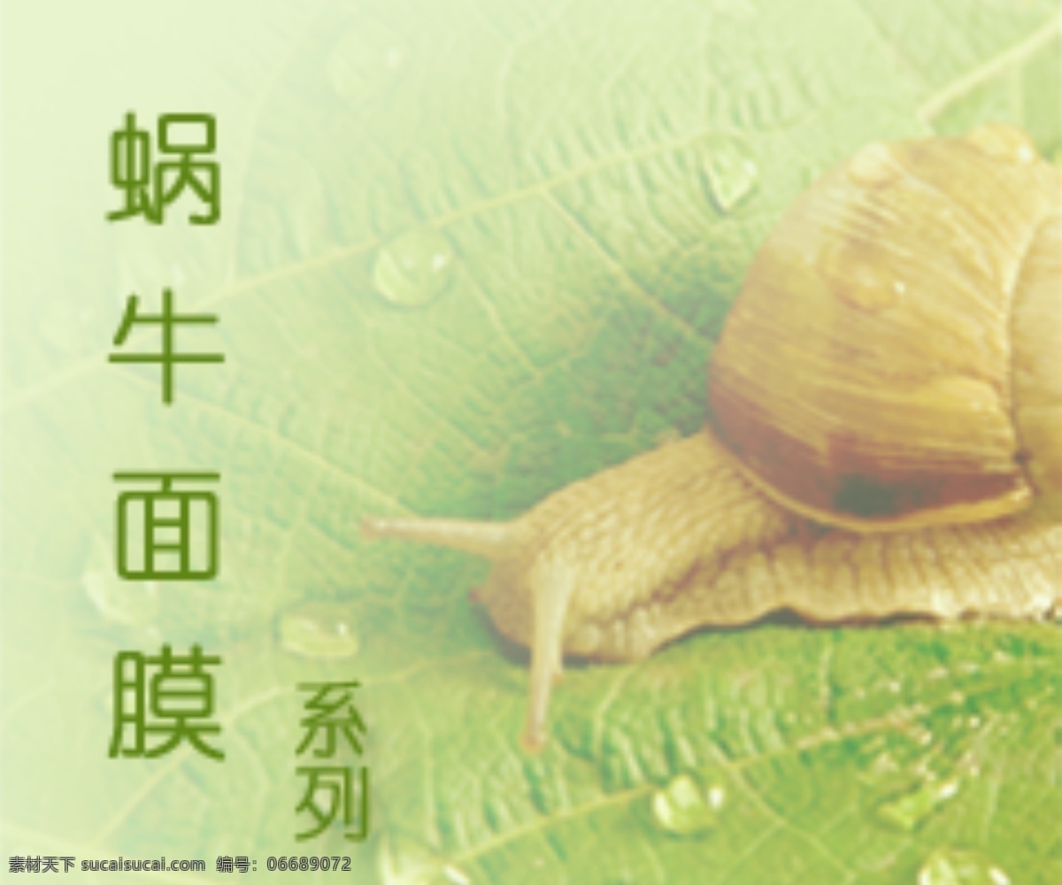 蜗牛 滋补 面膜 小海 报 包装 包装设计 补水 光影 广告设计模板 水润 源文件 面贴膜 海报 其他海报设计
