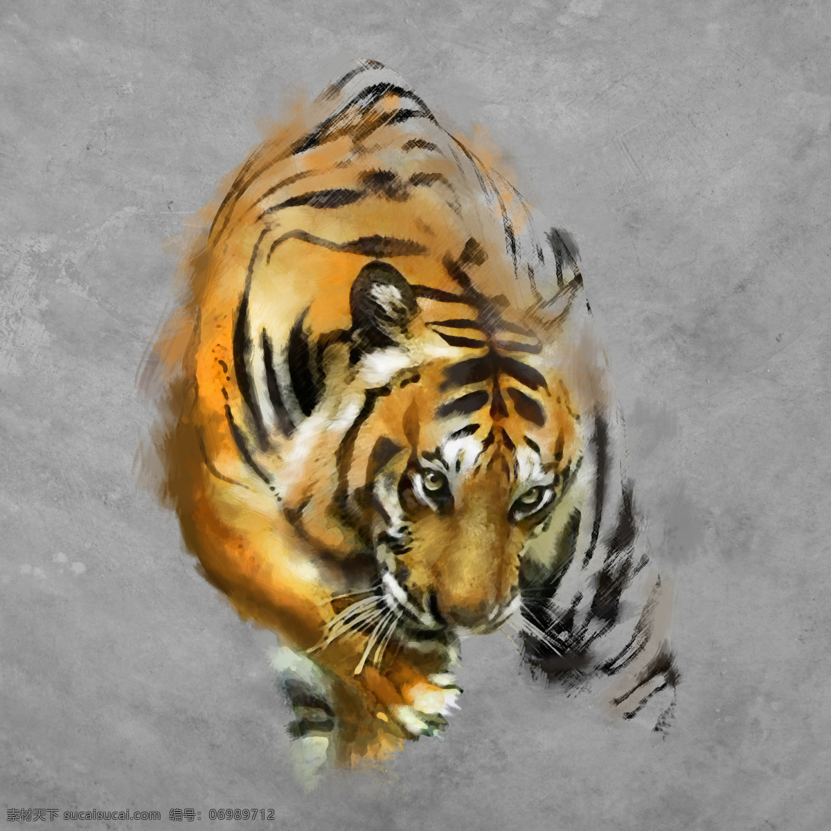 手绘老虎 唯美 炫酷 手绘 老虎 虎 动物 可爱 绘画 文化艺术 绘画书法
