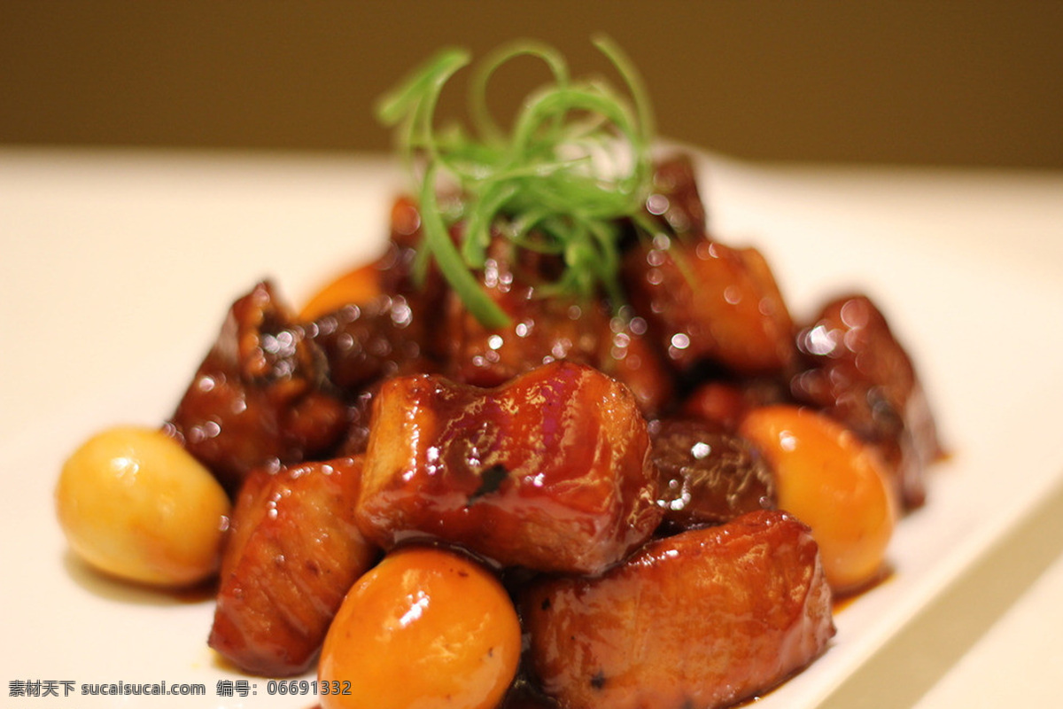 红烧排骨 糖醋排骨 新派糖醋排骨 糖醋 精美凉菜 烧排骨 焖排骨 排骨 猪排 炒菜类 美味 红烧 美食 烧烤 小排 酱排骨 酱香排骨 餐饮美食 传统美食