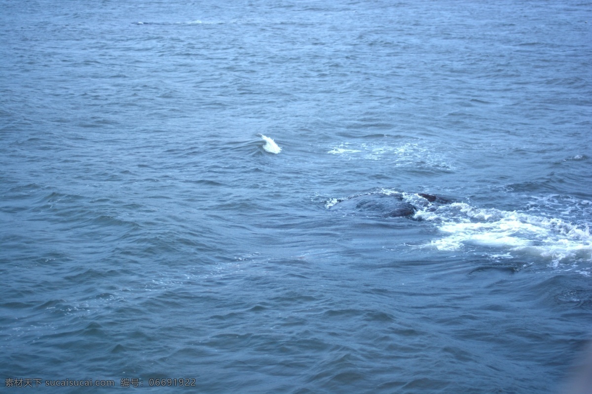 大海 波浪 特写 蓝色 海水 文艺 清新