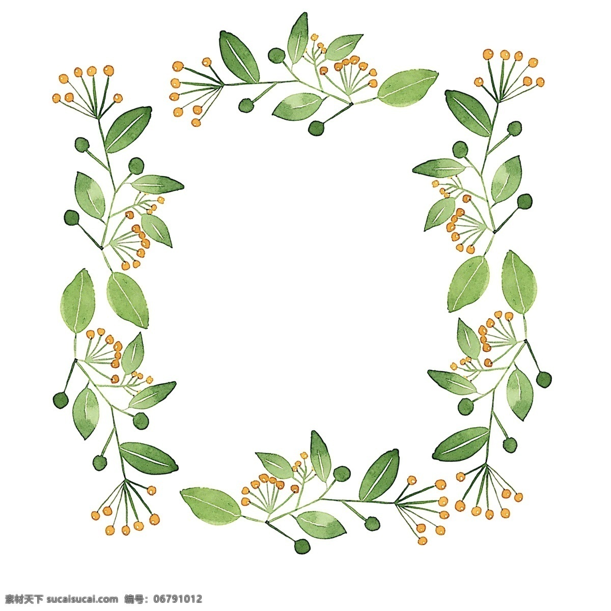 水彩 绿植 边框 插画 植物边框 绿植装饰花边 花纹边框 小 清新 水彩绿叶边框