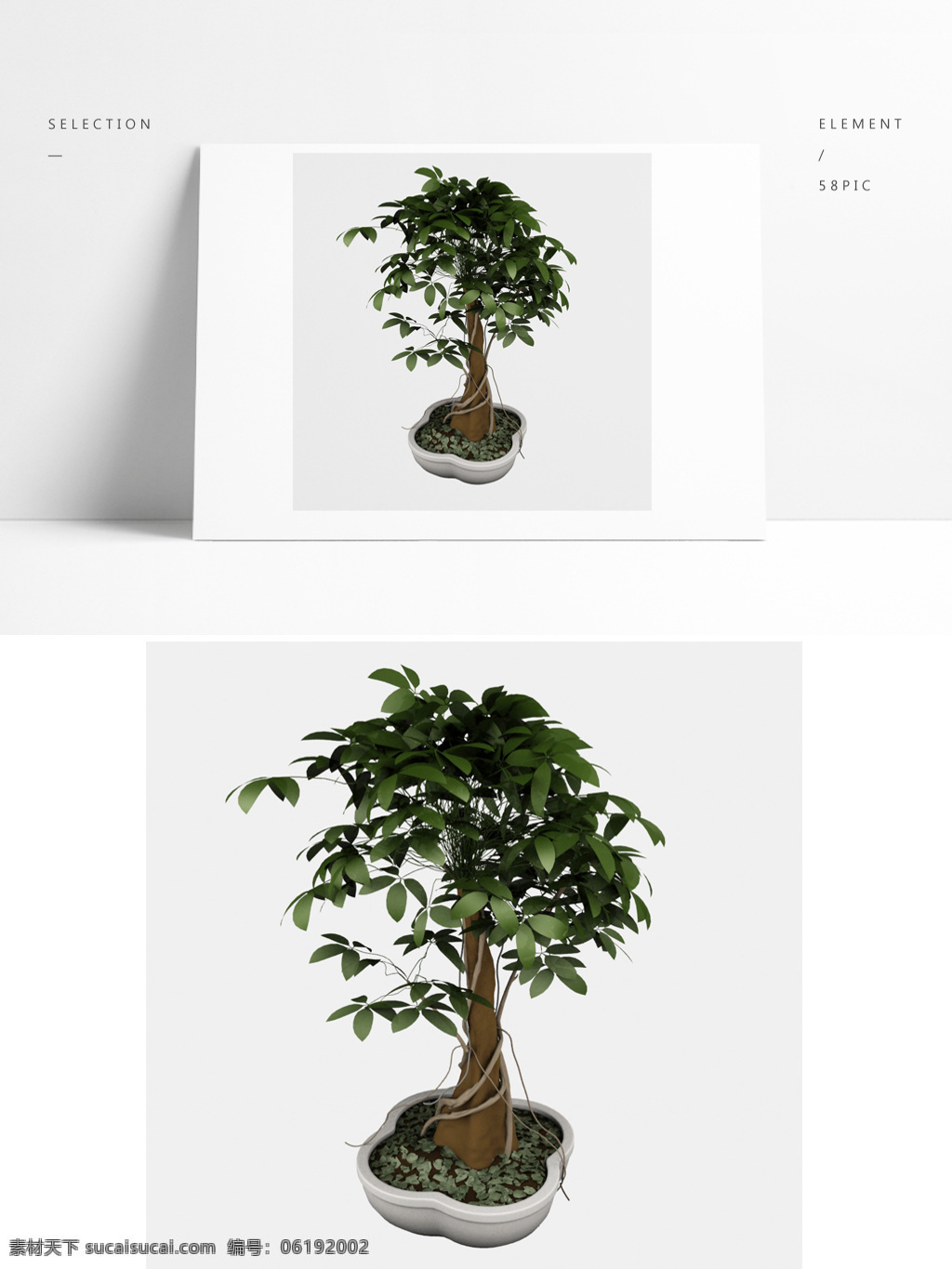 精细 植物 树木 模型 植物模型 绿植 盆景