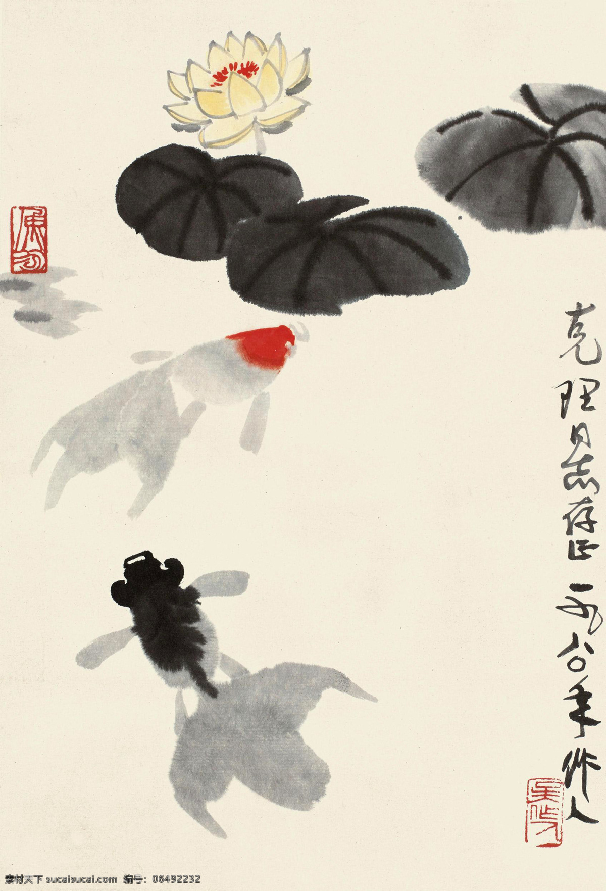 荷塘 清趣 商燎迦 生物世界