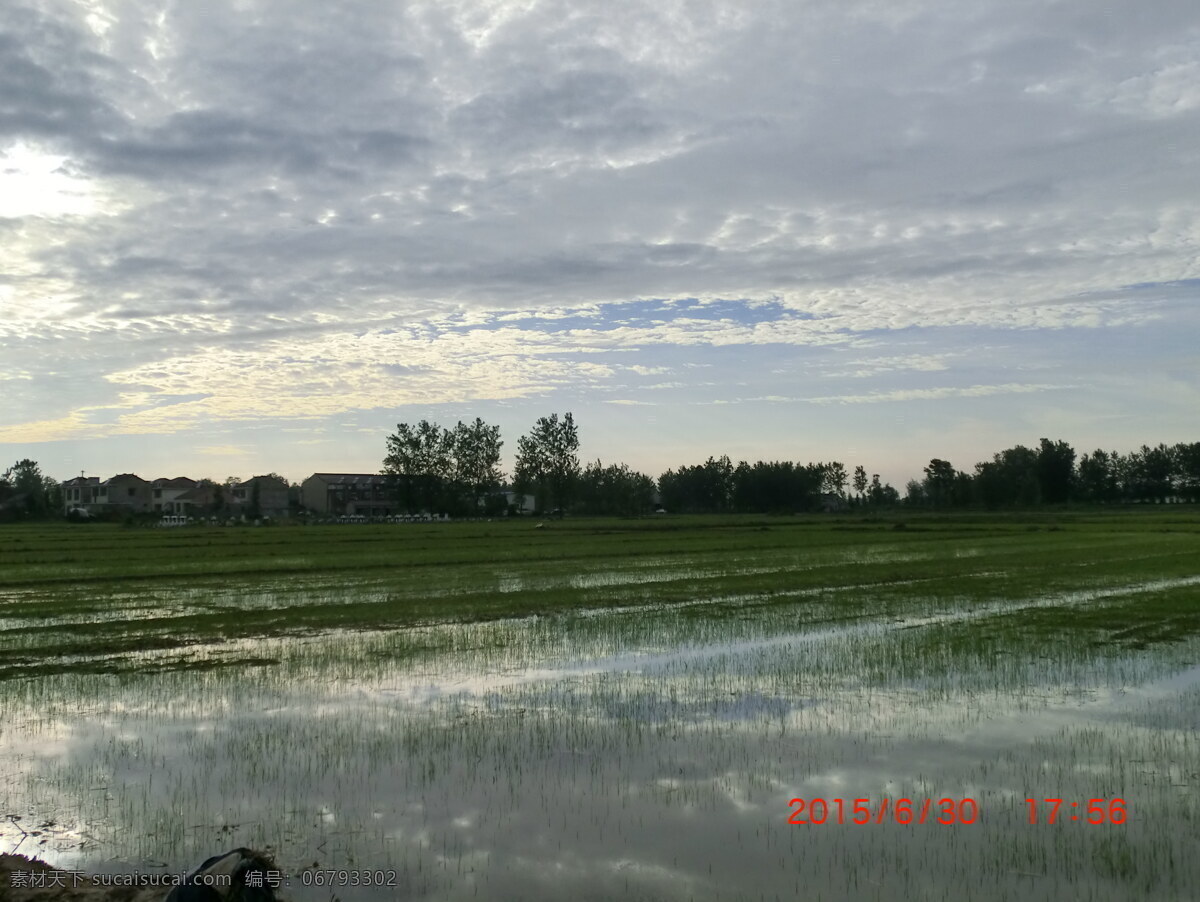 田园风景 风景 田野 池塘 天空 白云 自然景观 田园风光