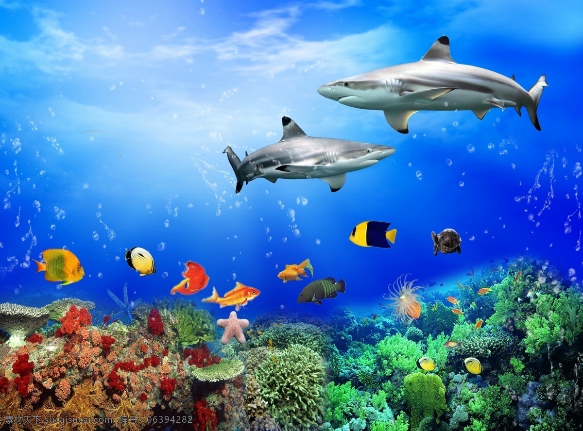 水族馆 水族 世界 店面 开业 大吉 各种鱼 海豚 电话 水族世界 鲸鱼 蓝色海 绿色 水 草鱼 海草 海洋 海藻 广告宣传