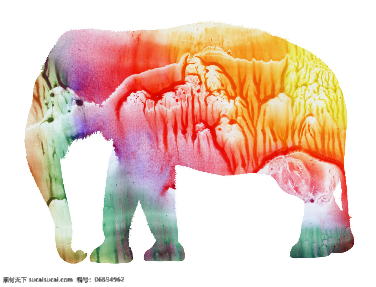 水彩大象插画 水彩动物插画 大象插画 绘画艺术 水彩画 陆地动物 生物世界 白色