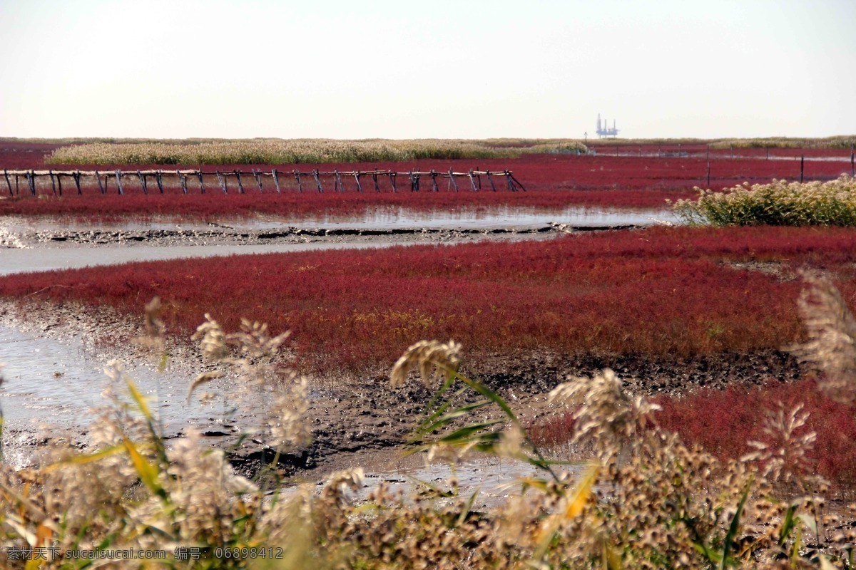 海滨 旅游 秋色 湿地 自然风景 自然景观 盘锦 红海 滩 红海滩 东北风光 psd源文件