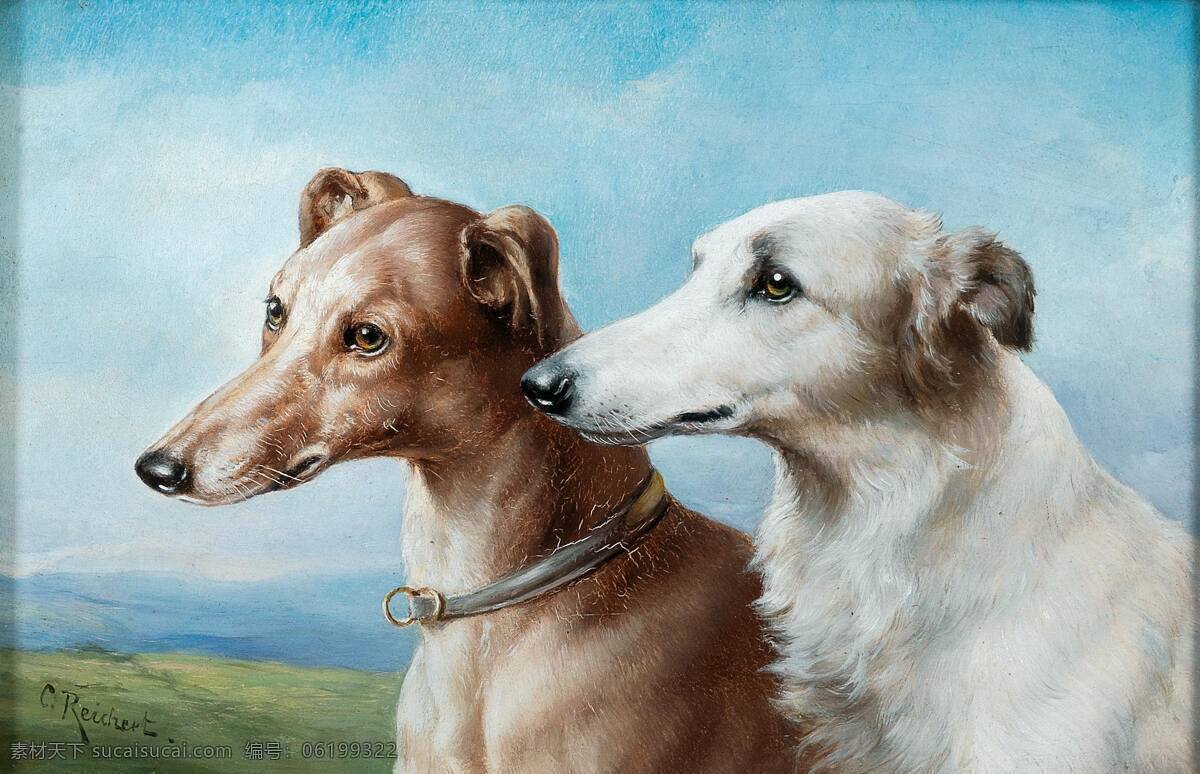 卡尔 赖 克特 作品 奥地利画家 两只猎犬 漂亮 踏实 19世纪油画 油画 文化艺术 绘画书法